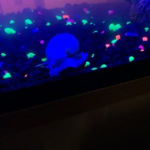 Meet your Posher, Mel